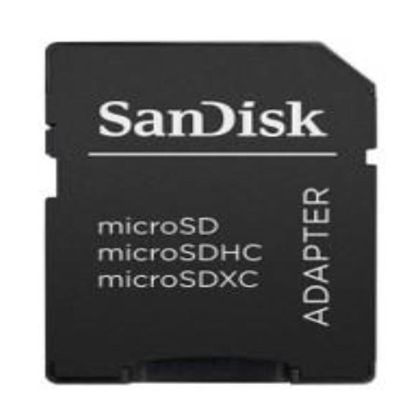 Amplicon Middle East - Realwear Micro SD Card (256GB SanDisk Extreme)-256