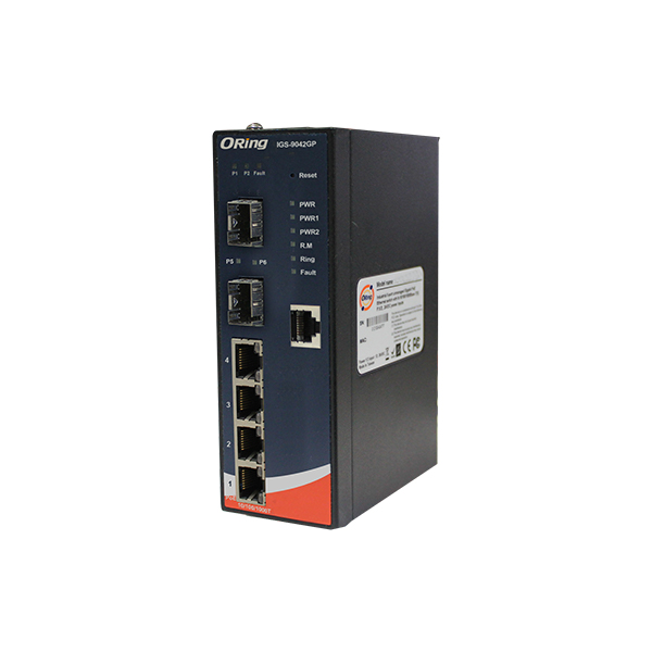 Amplicon-Middle-East-ORING-IGS-9042GP